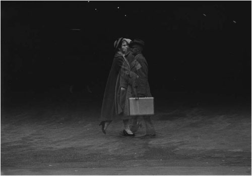 해리(Harry) 이미지