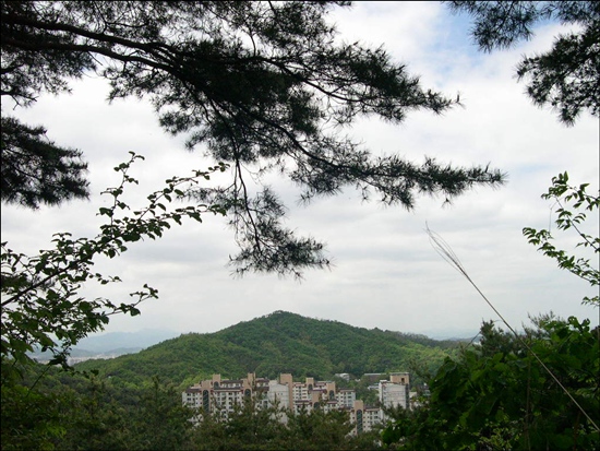 (주)산지 이미지